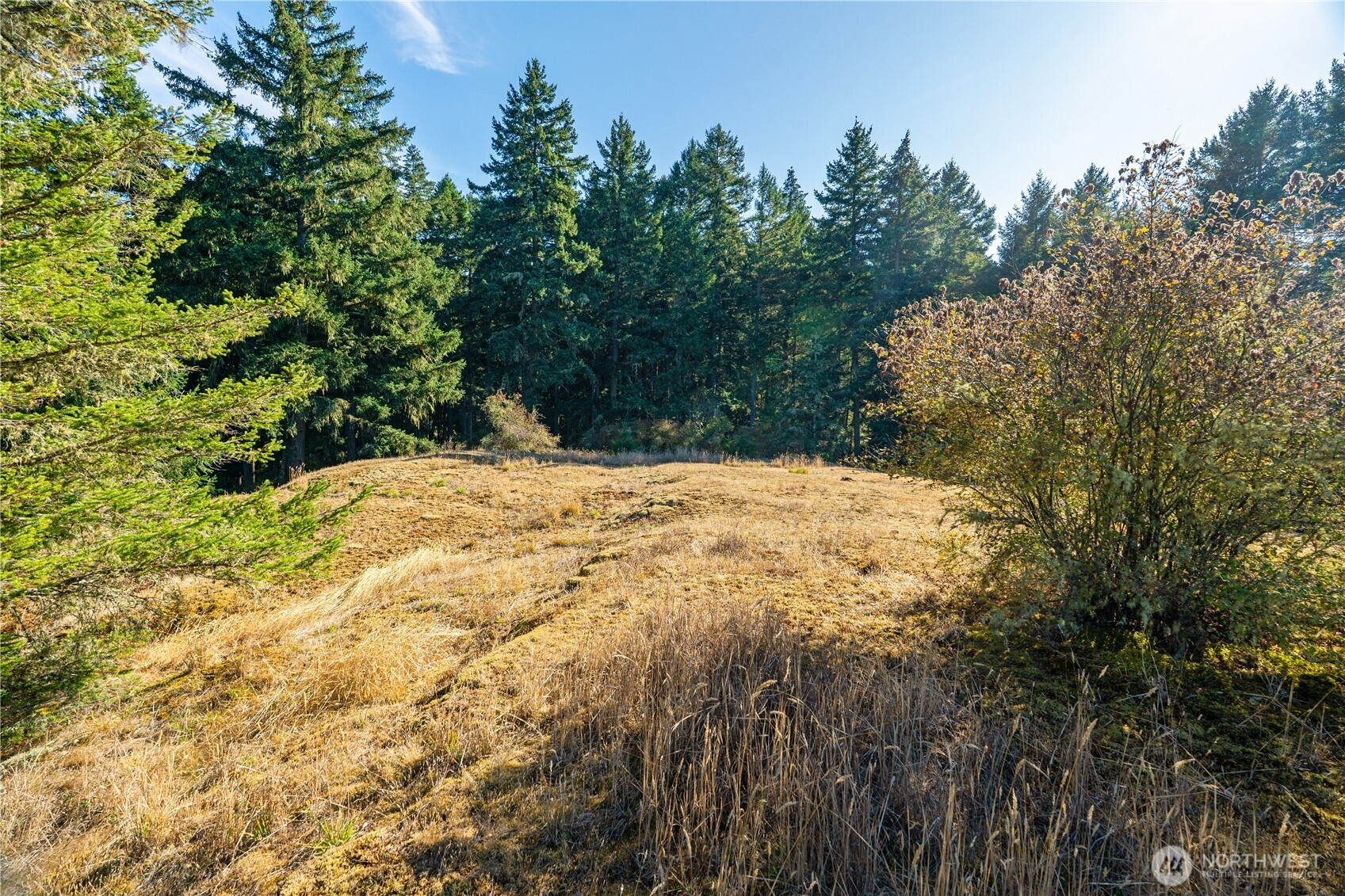 0 Woodpecker Lane Property Photo 18