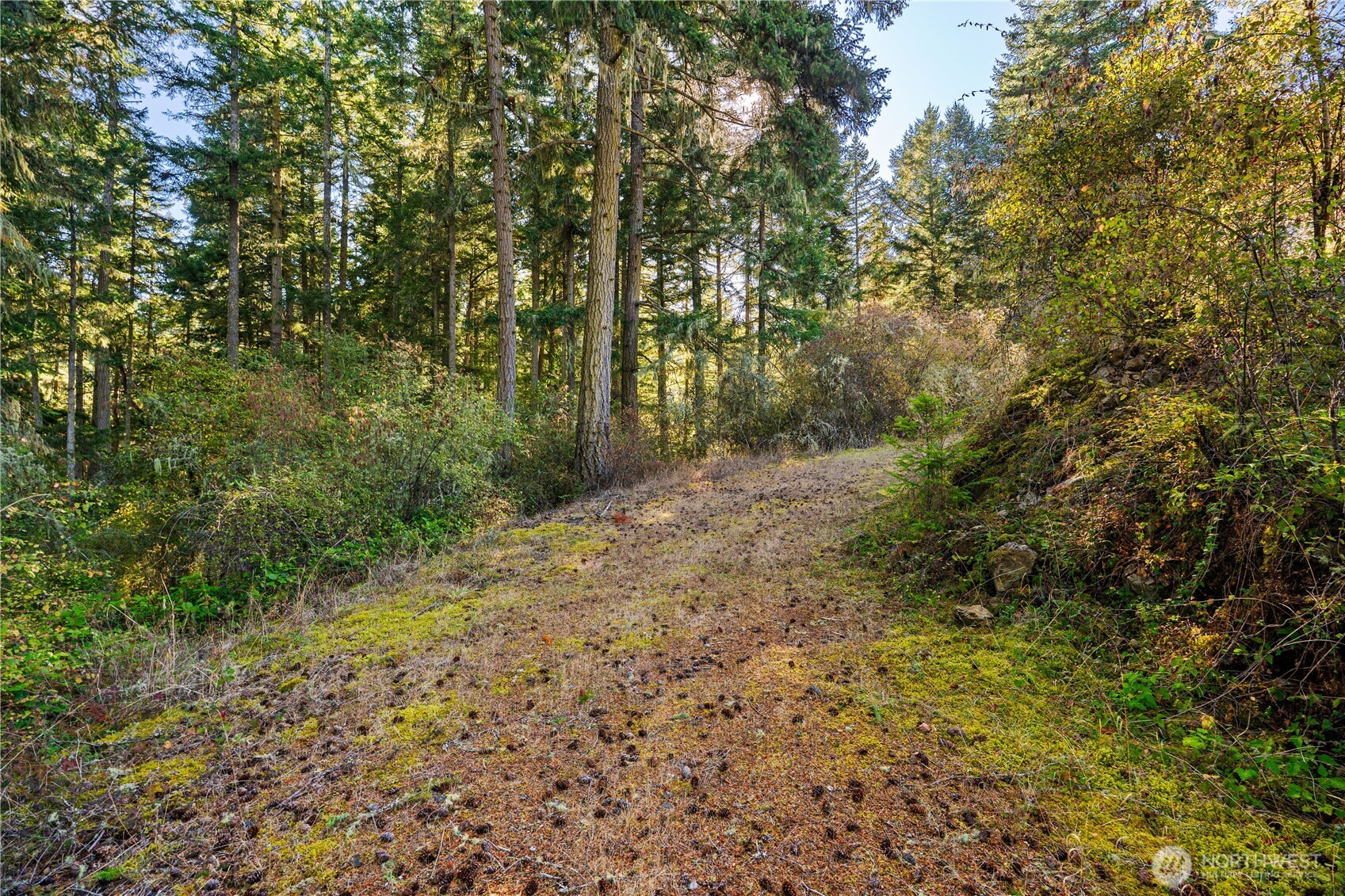 0 Woodpecker Lane Property Photo 19