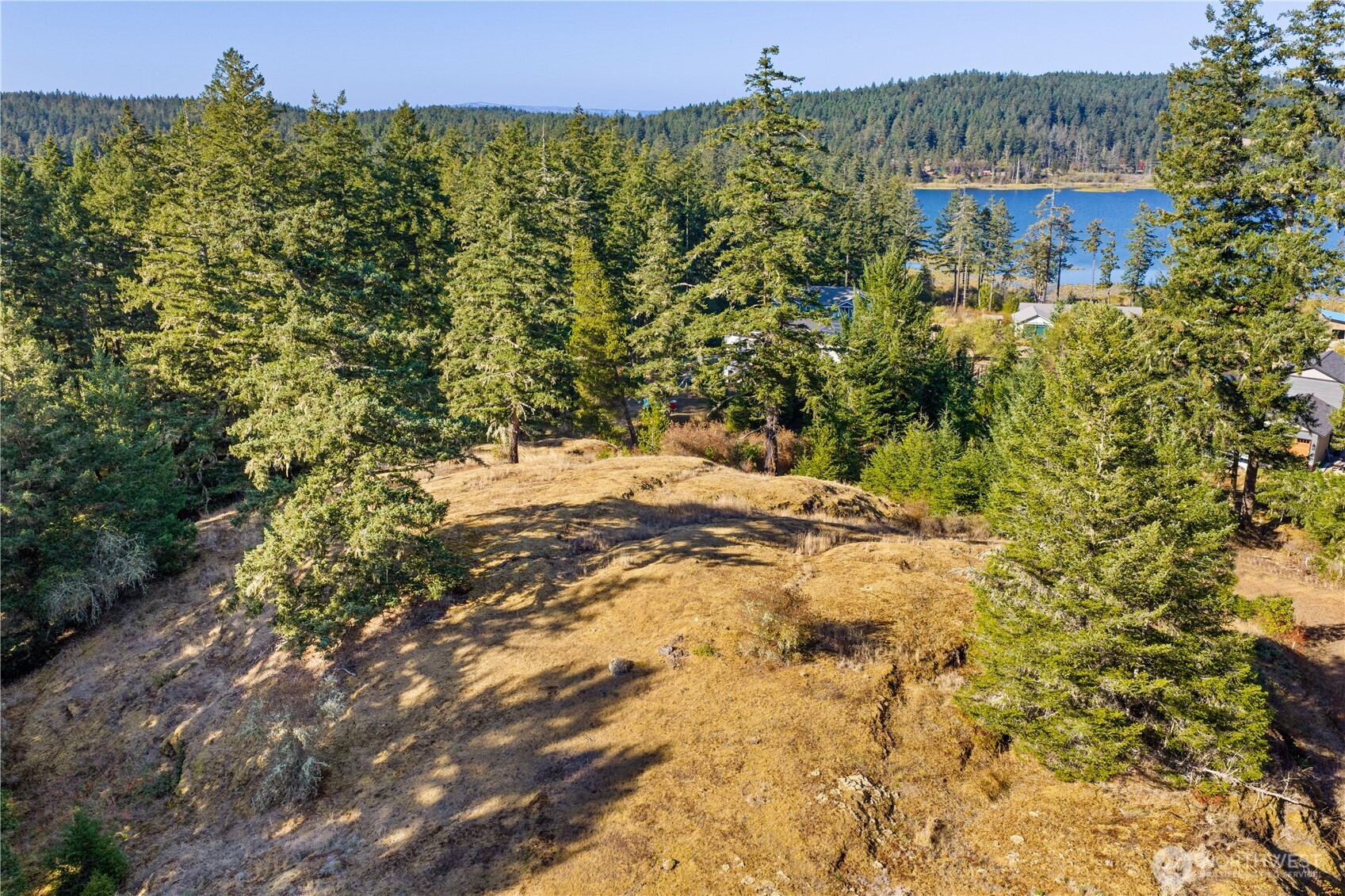 0 Woodpecker Lane Property Photo 31