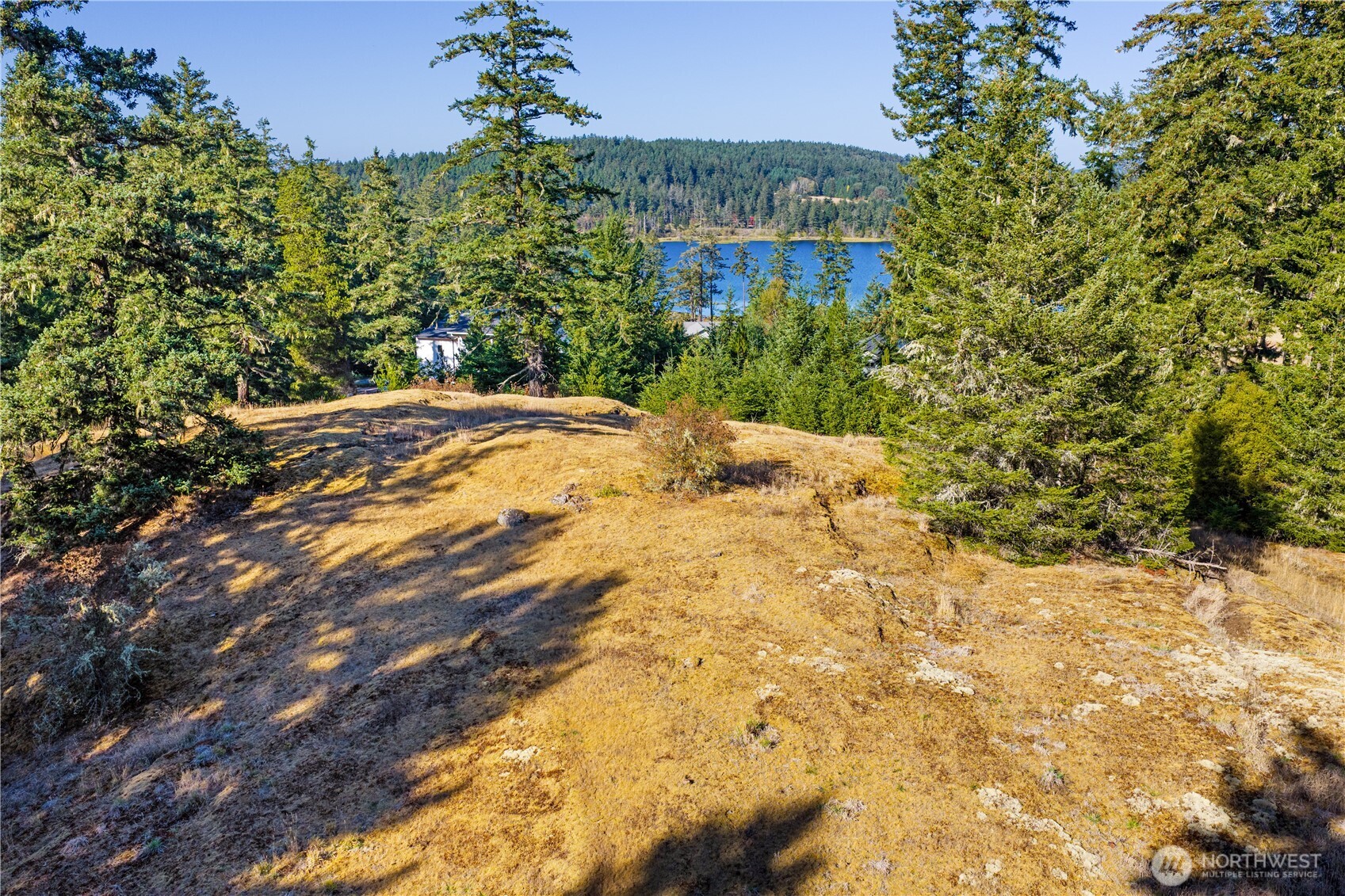 0 Woodpecker Lane Property Photo 33