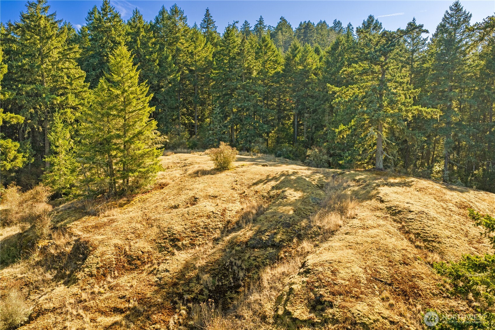 0 Woodpecker Lane Property Photo 35