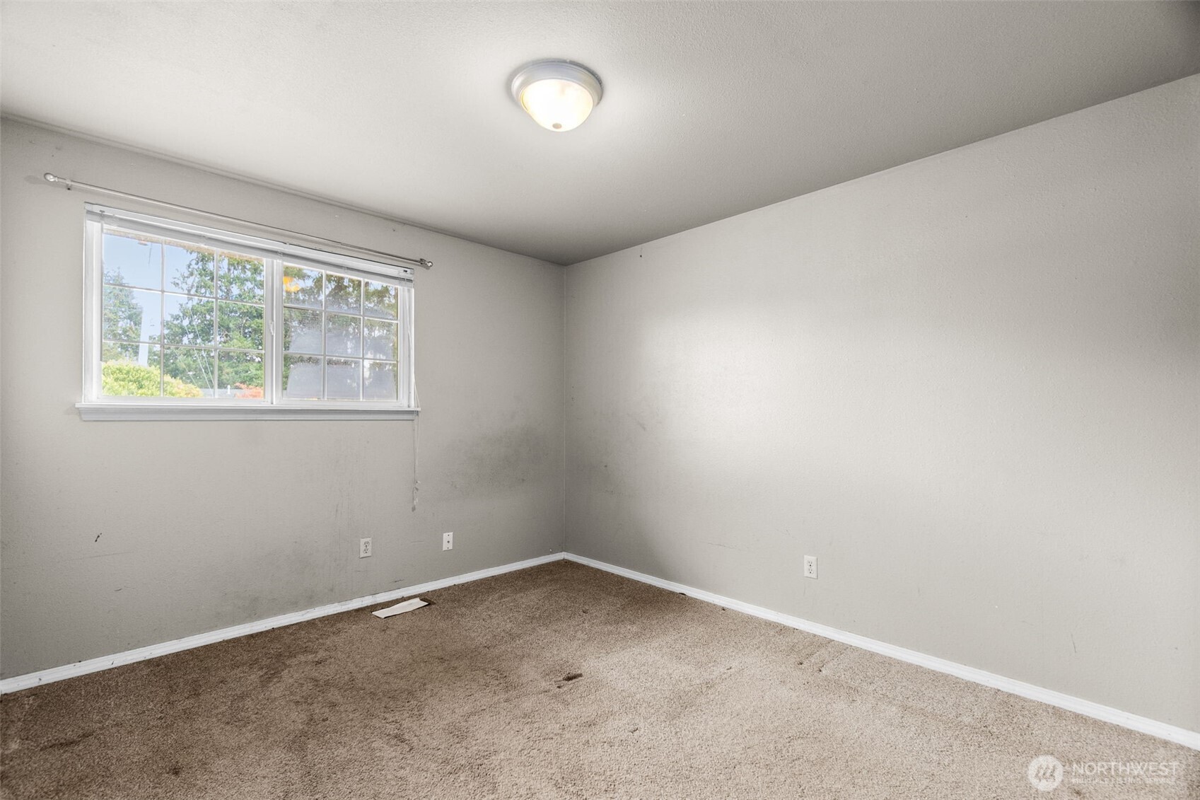 10343 Tranquility Ln Property Photo 17