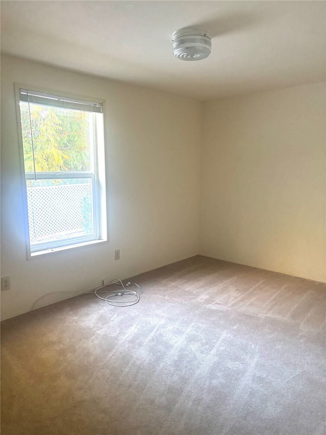 431 Parkwood Blvd Property Photo 20