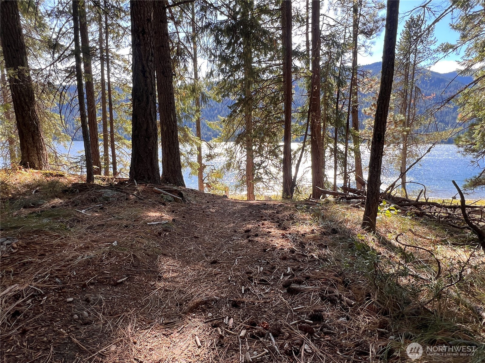 16150 Telemark Lane Property Photo 35