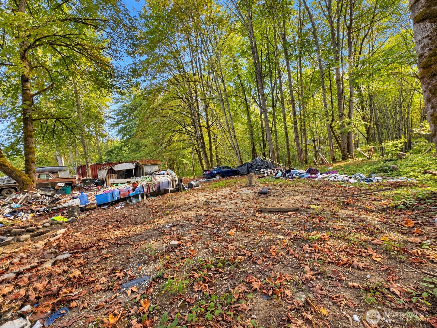 12822 175th Avenue Property Photo 3