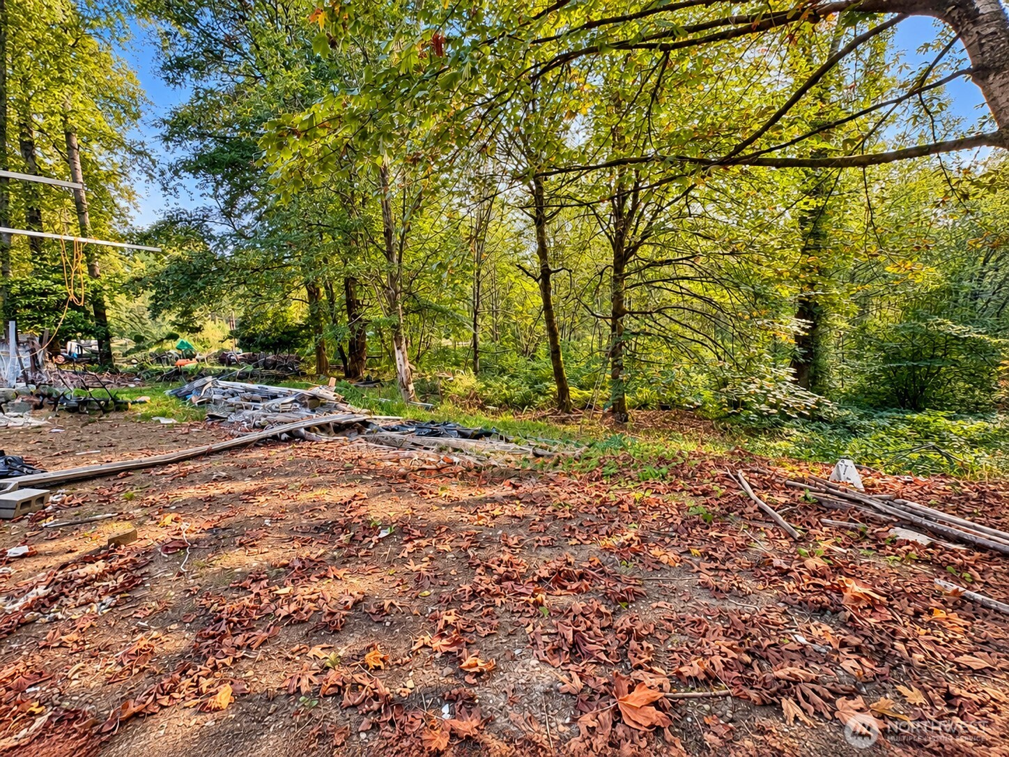 12822 175th Avenue Property Photo 4