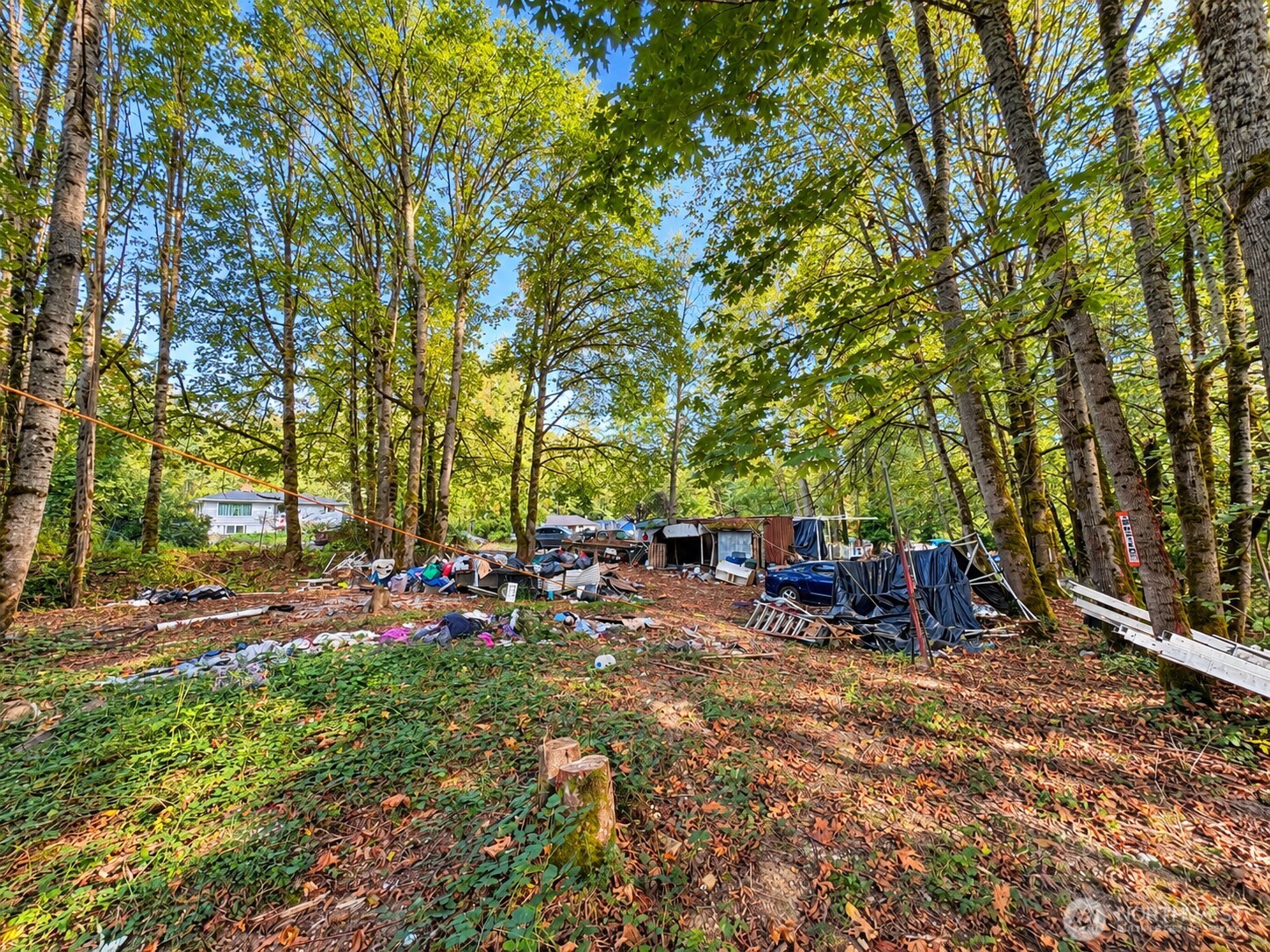 12822 175th Avenue Property Photo 6