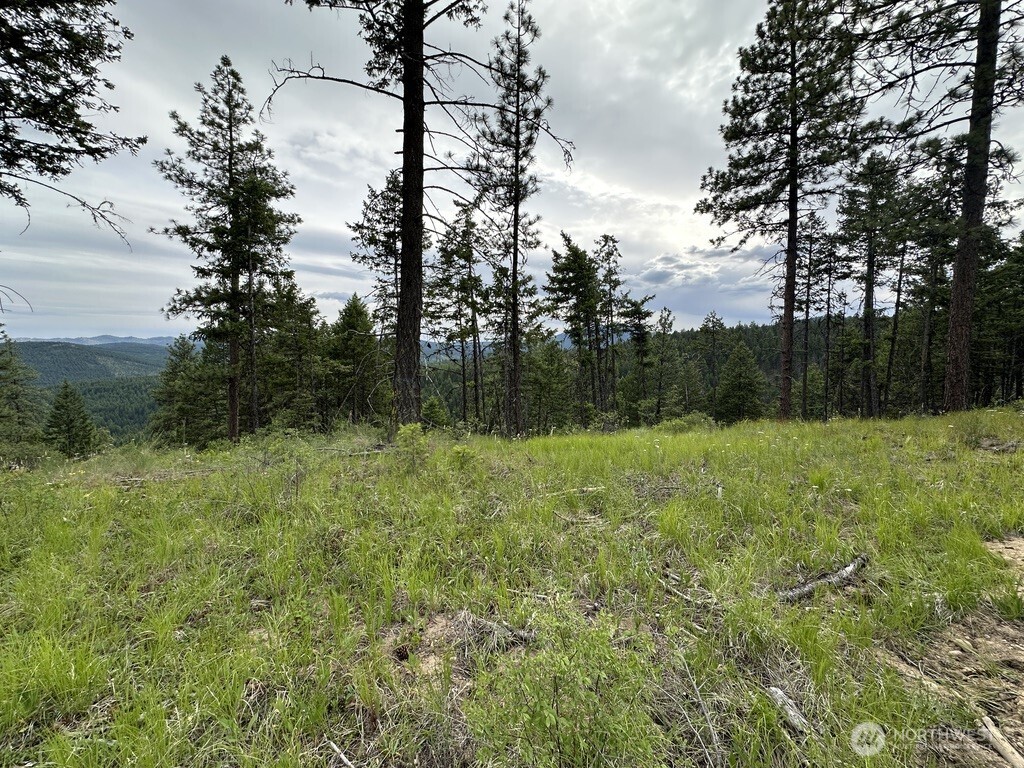 3600 Sherian Road Q Property Photo 5