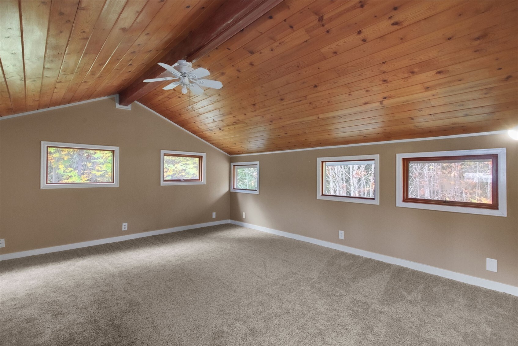 284 Watershed Road Property Photo 21