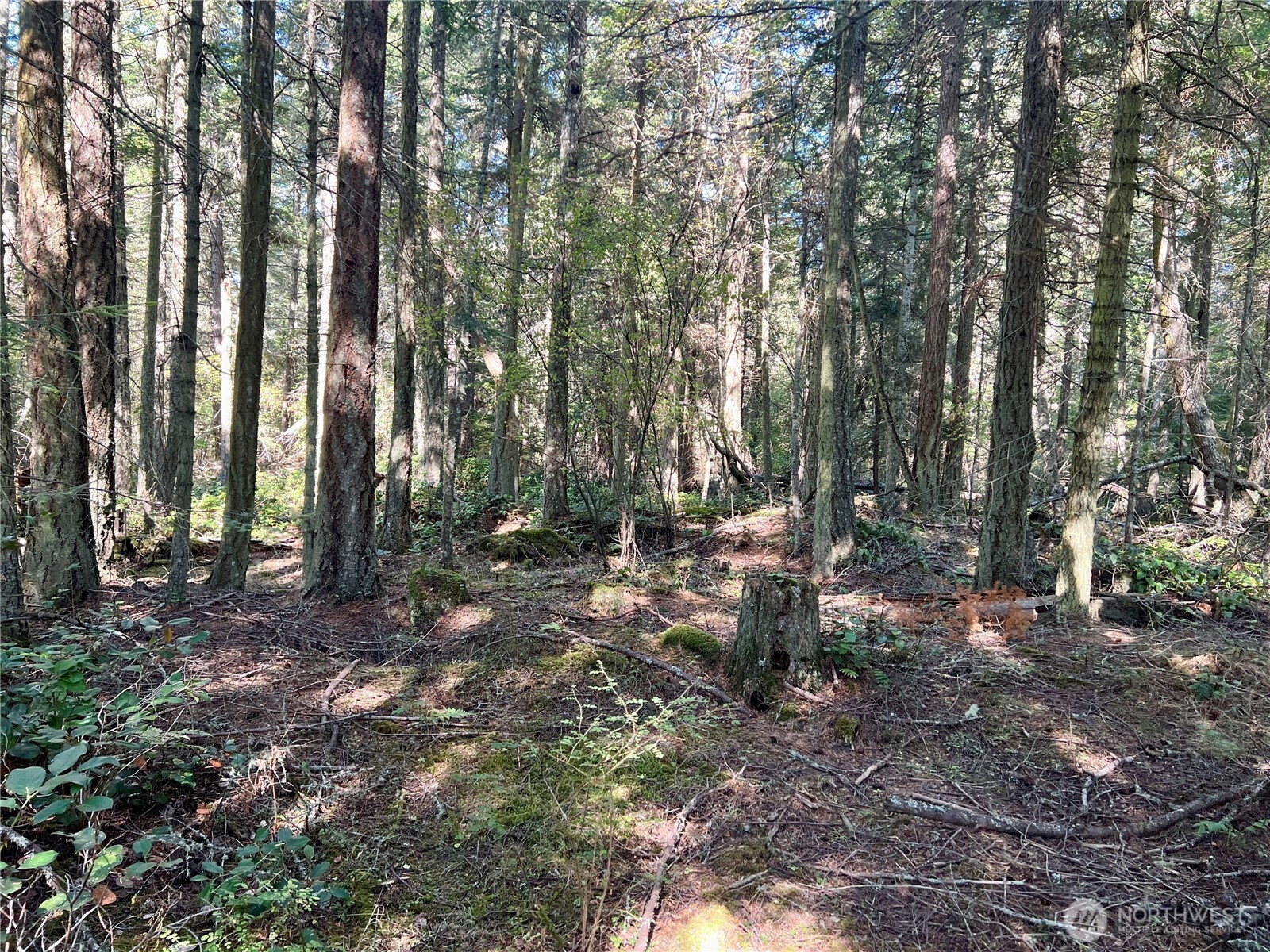 0 Thatcher Pass Road Property Photo 4