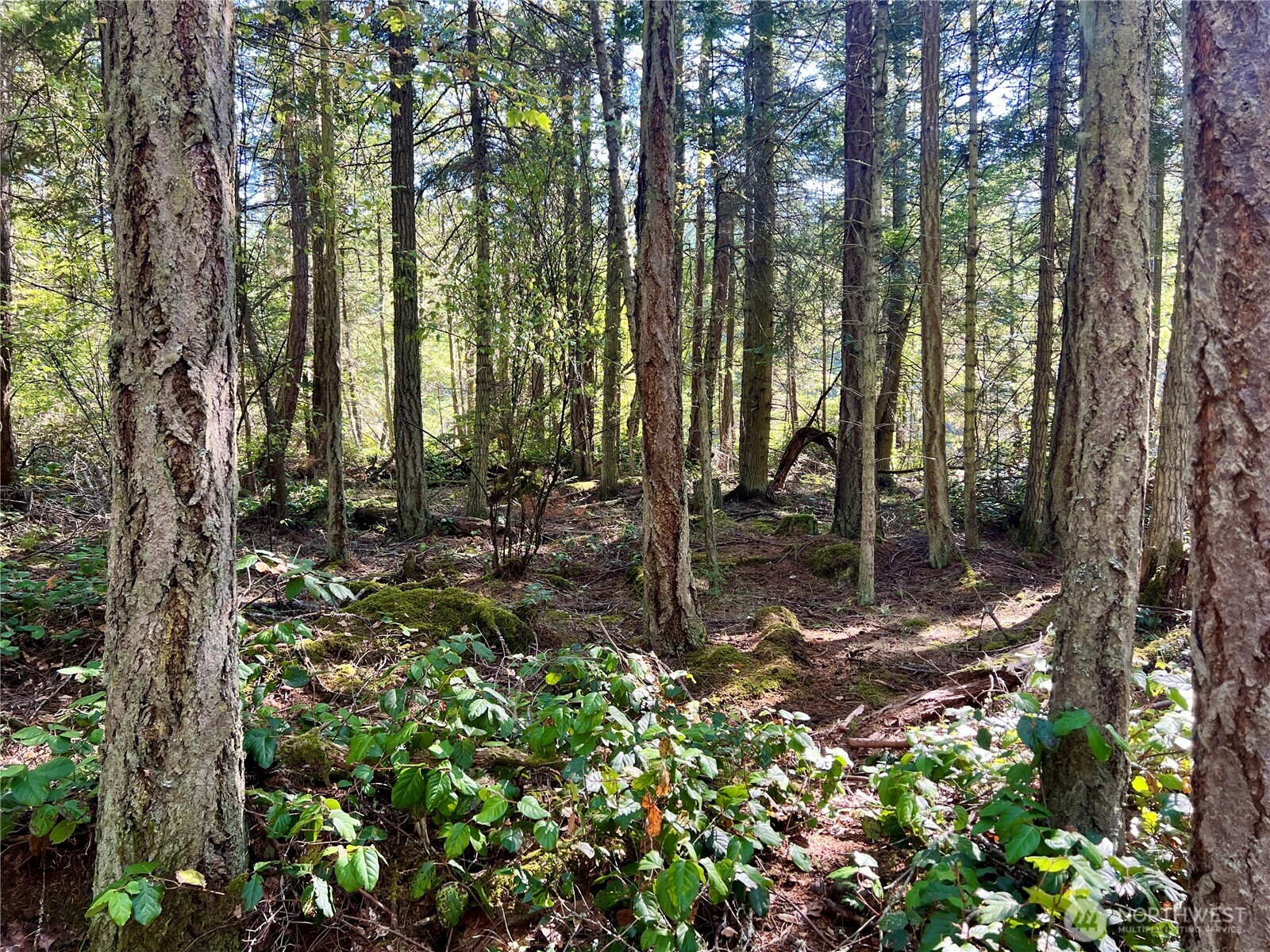 0 Thatcher Pass Road Property Photo 5