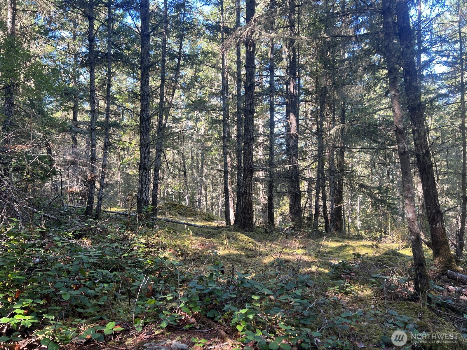 0 Thatcher Pass Road Property Photo 6
