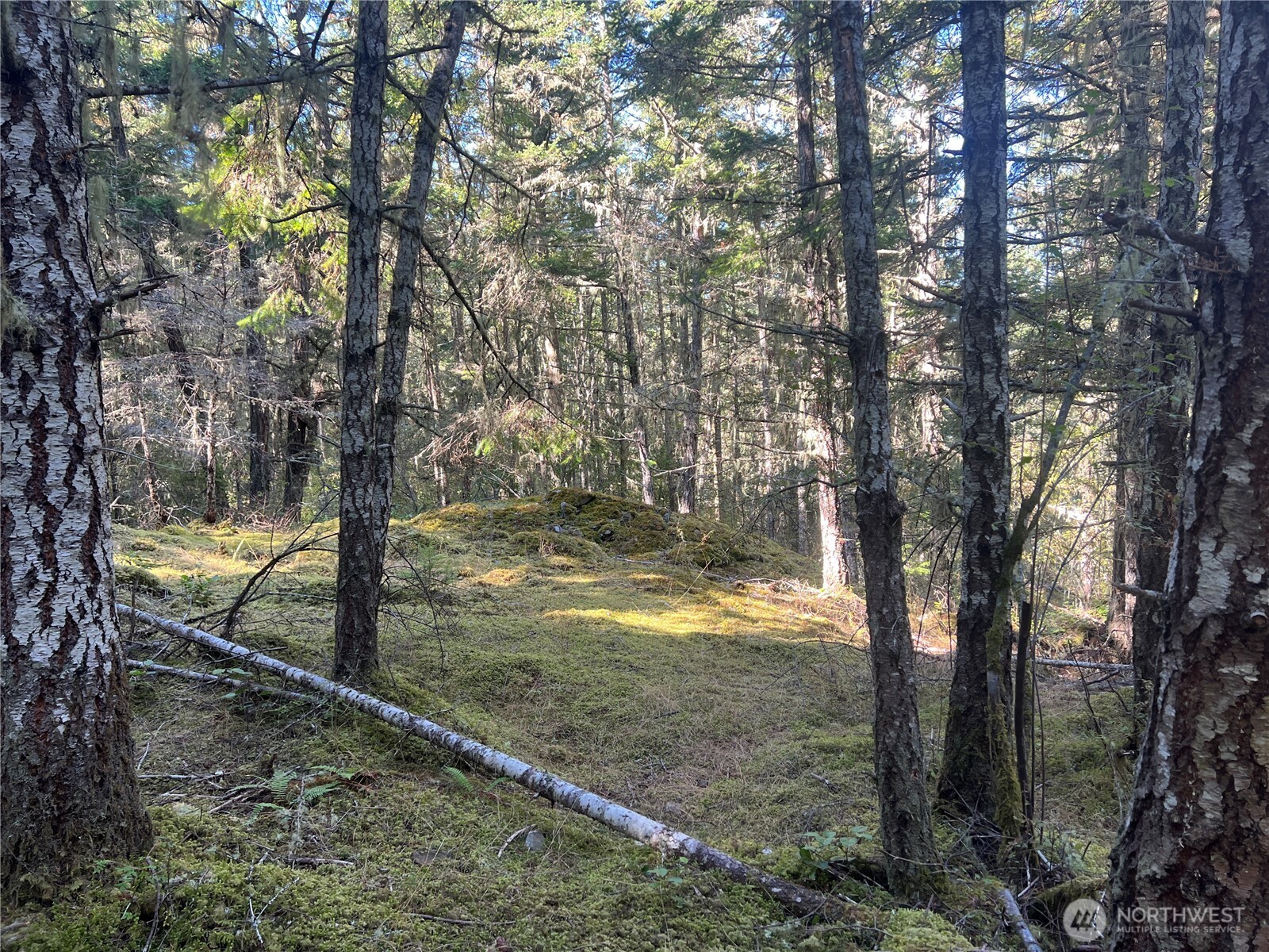 0 Thatcher Pass Road Property Photo 8