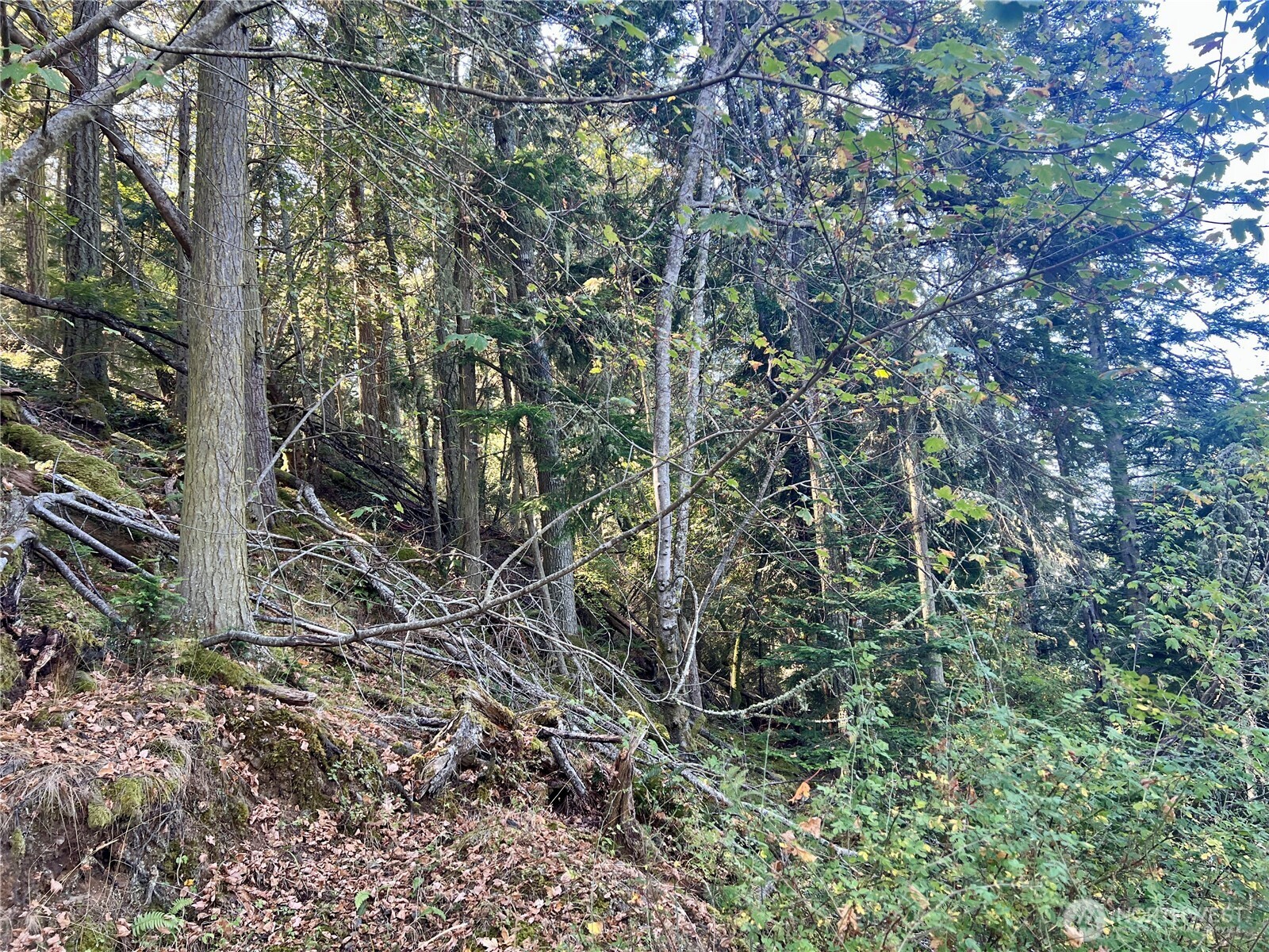 0 Thatcher Pass Road Property Photo 10