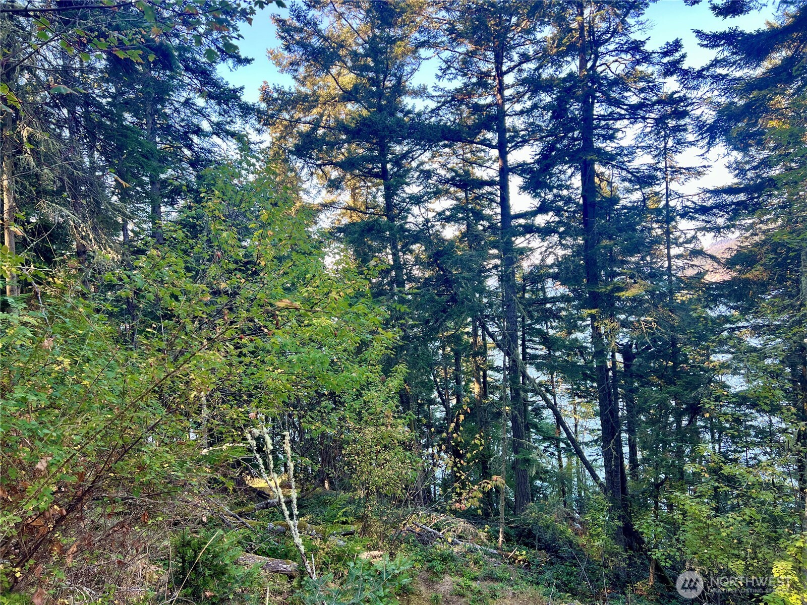 0 Thatcher Pass Road Property Photo 11