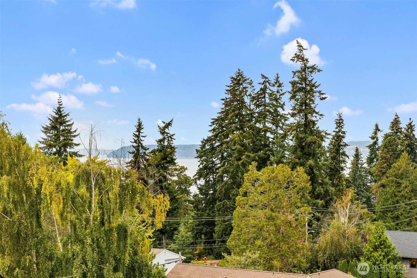 17105 76th Avenue Property Photo 2