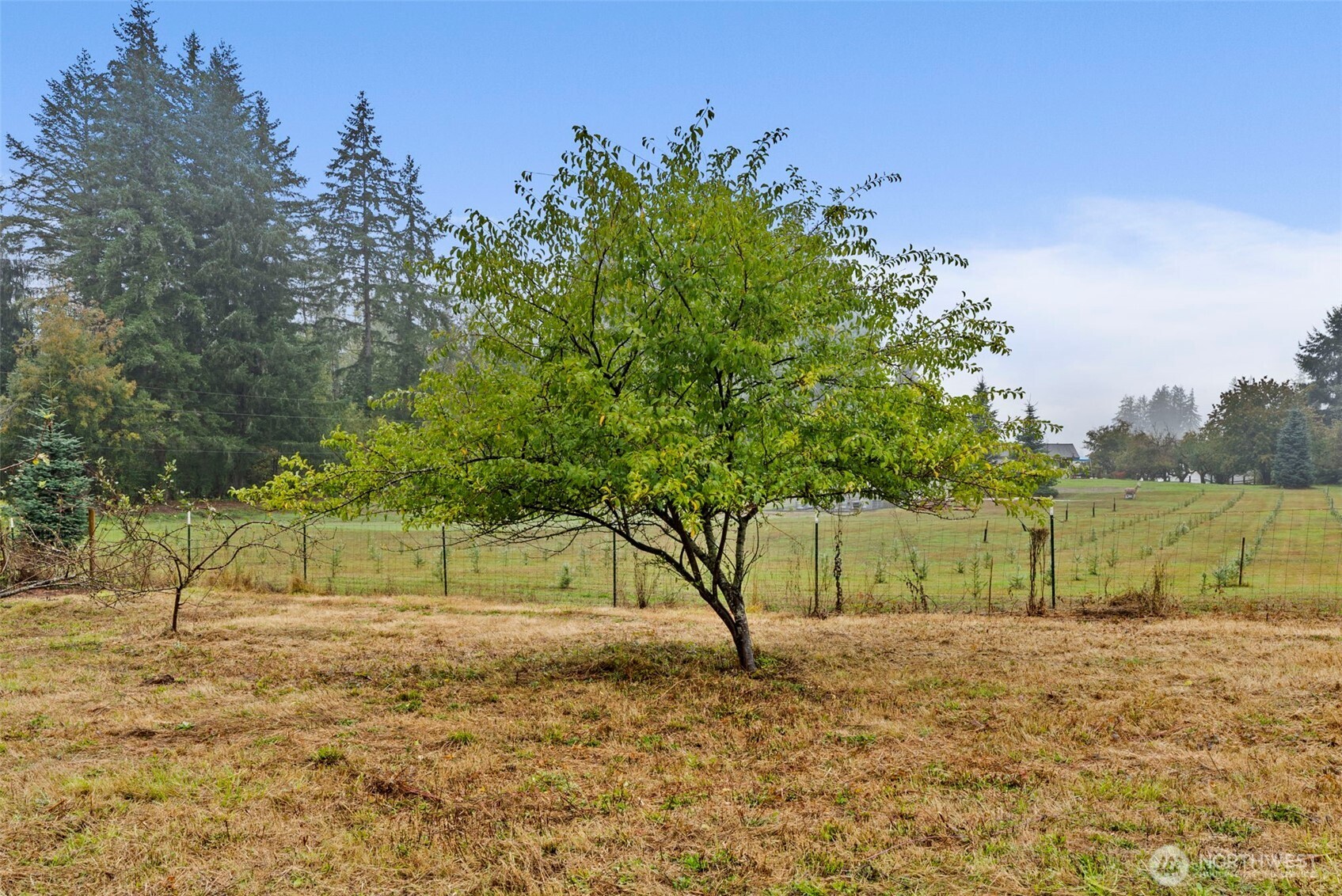9415 Delphi Road Property Photo 30