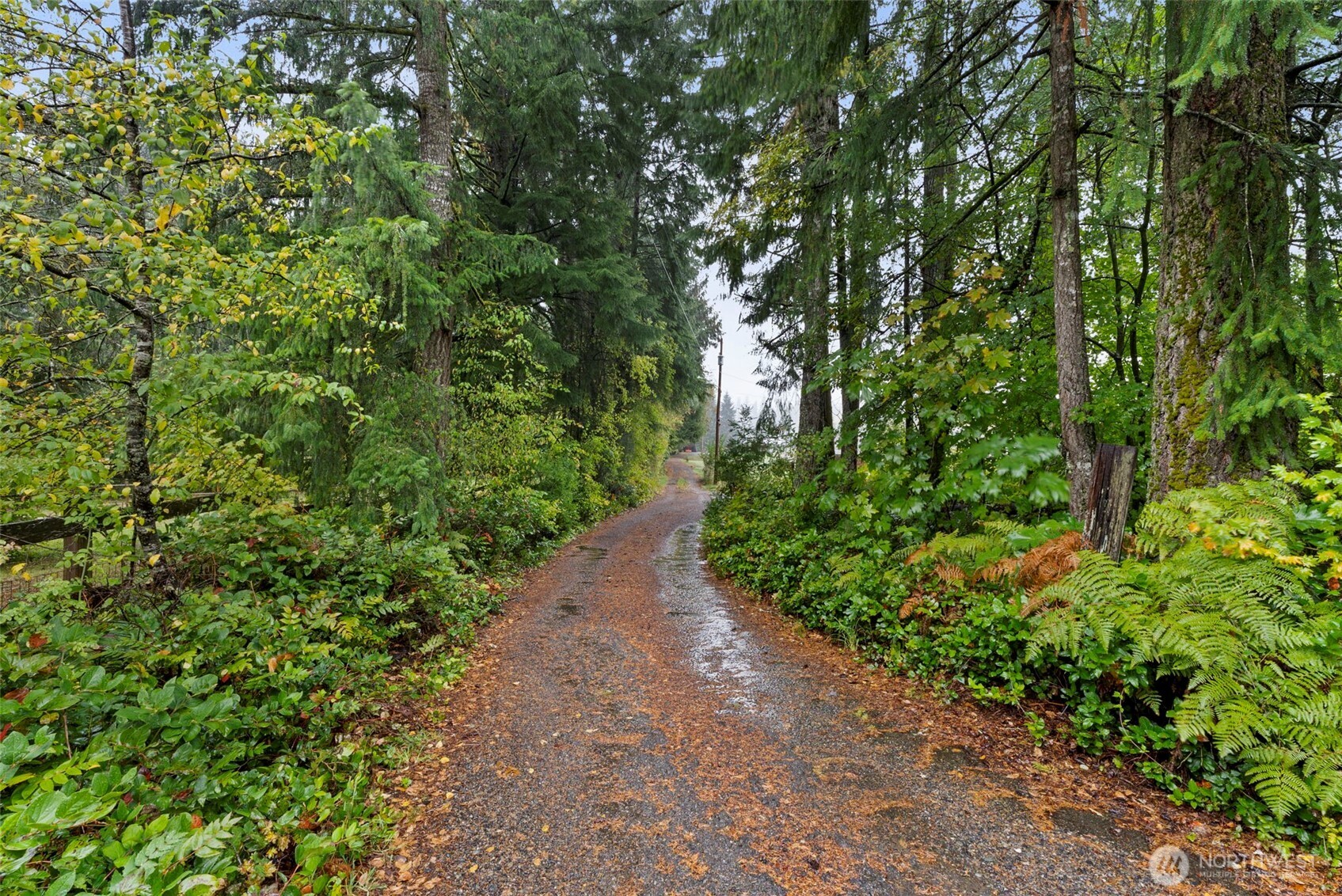9415 Delphi Road Property Photo 32