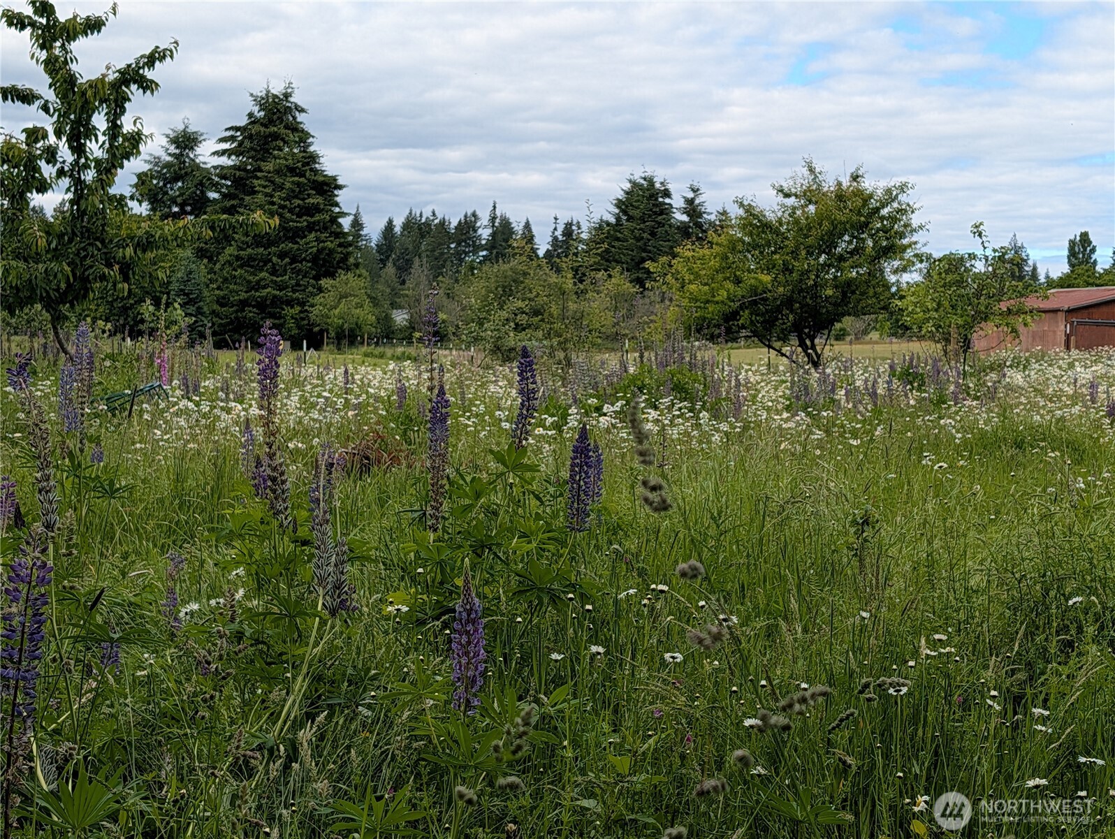 9415 Delphi Road Property Photo 35
