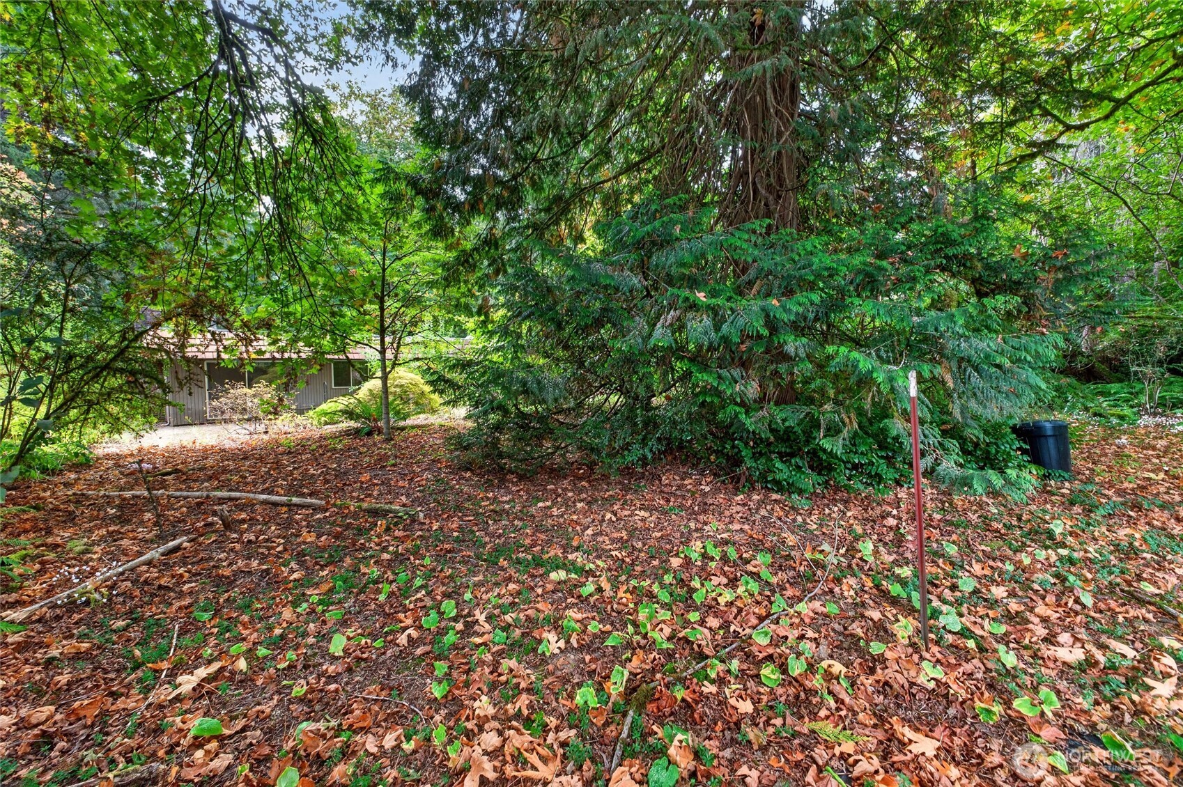 1748 Camden Park Drive Property Photo 36