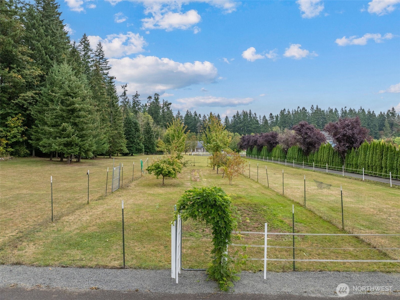 223 Salkum Heights Drive Property Photo 33