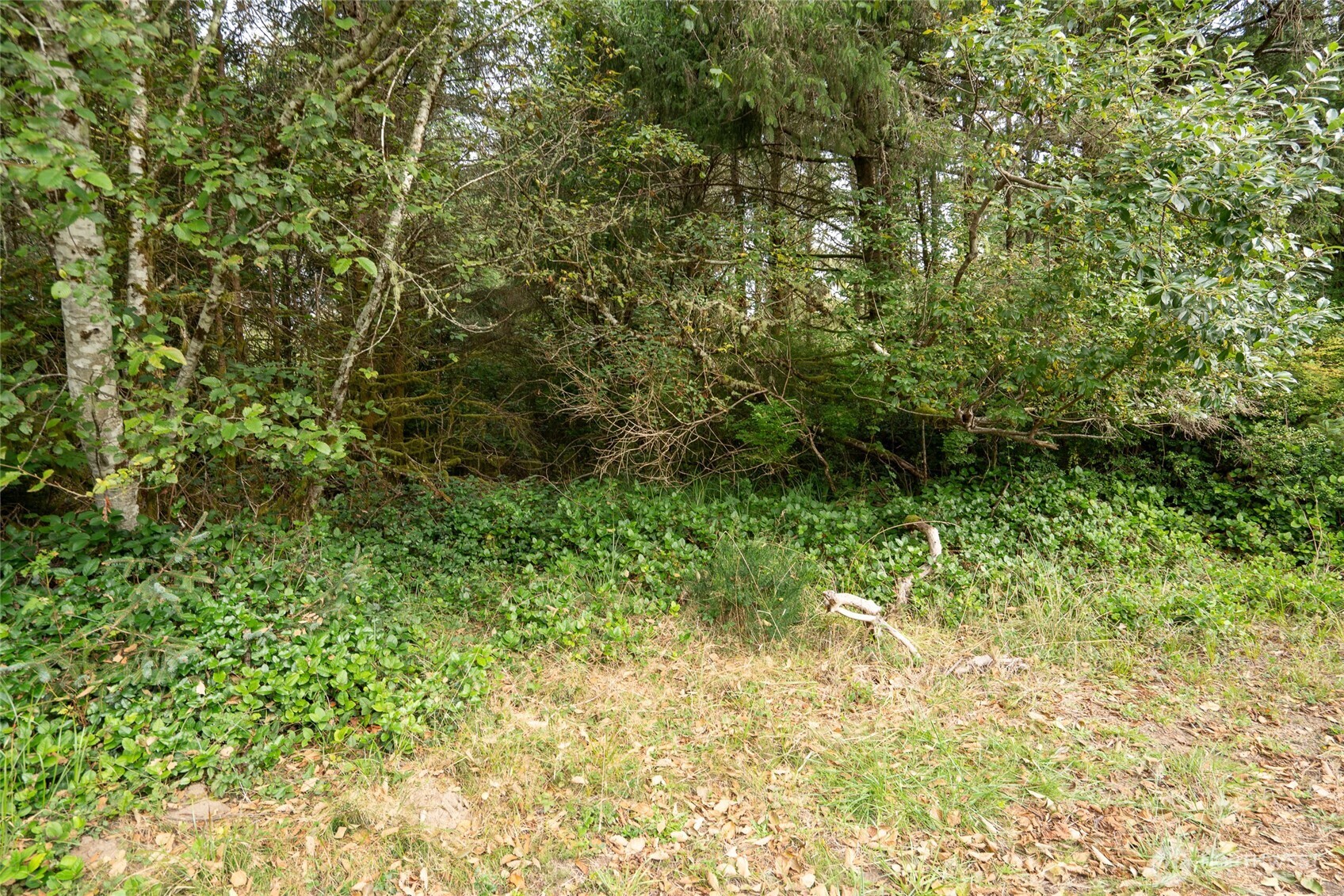 753 Duck Lake Drive Property Photo 5