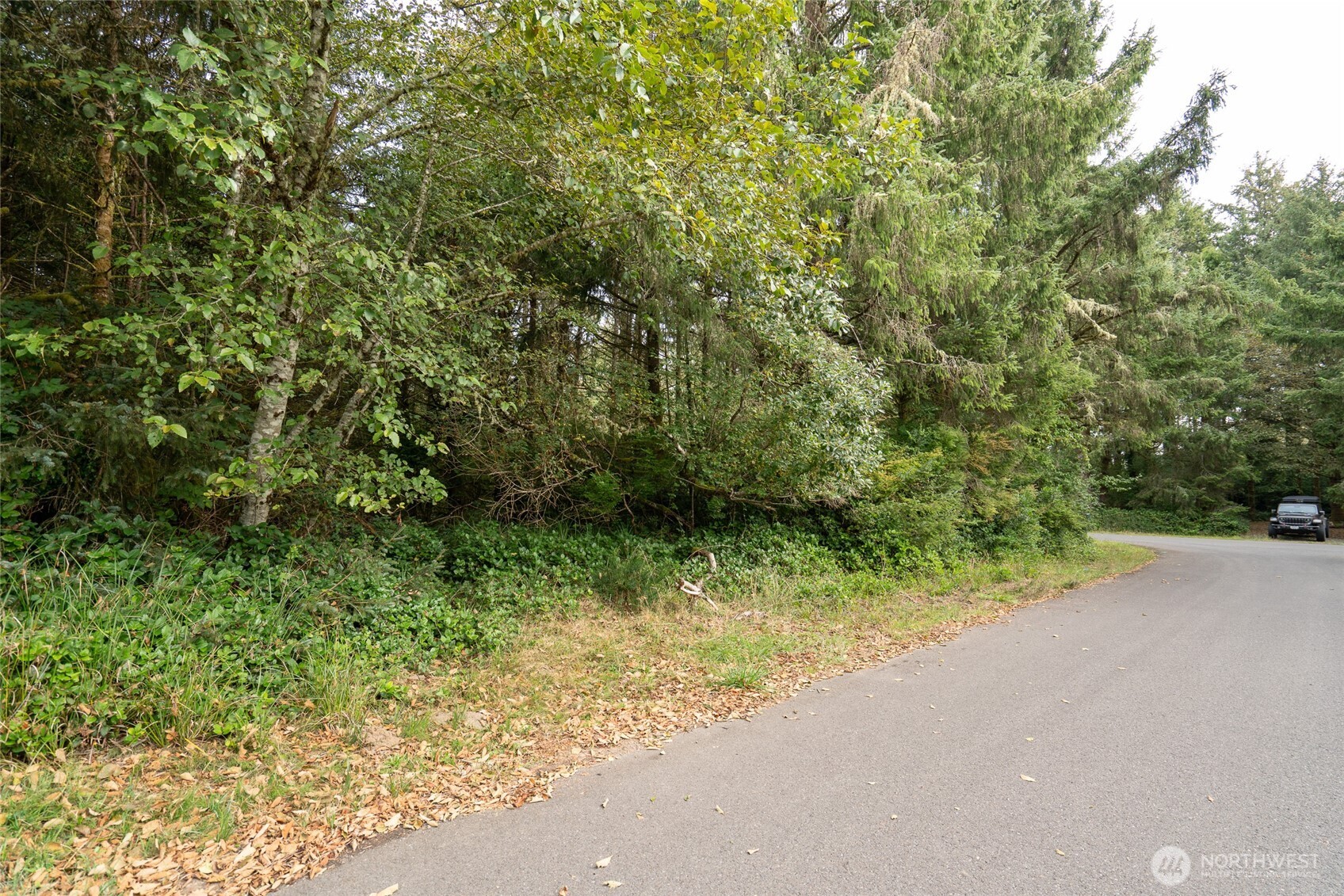 753 Duck Lake Drive Property Photo 10