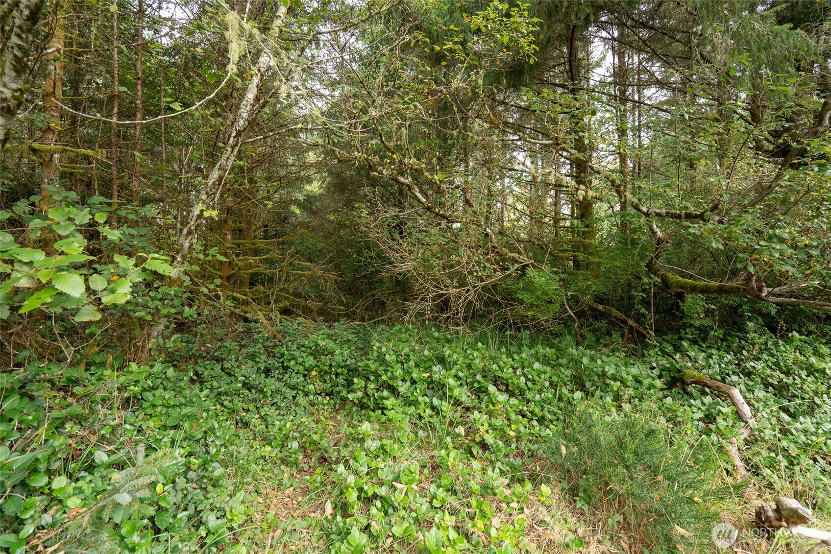 753 Duck Lake Drive Property Photo 12