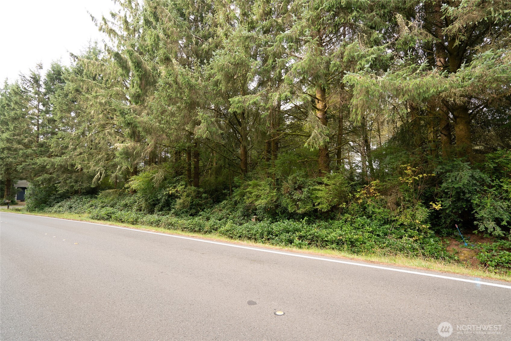 753 Duck Lake Drive Property Photo 17