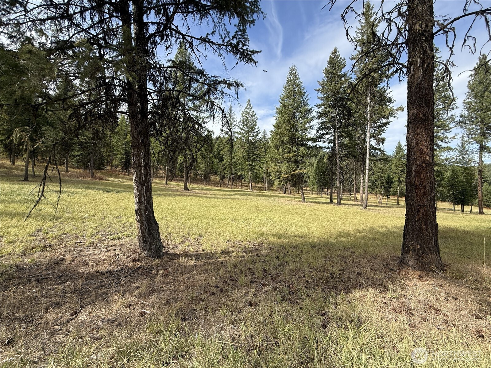 4 Lakeview Drive Property Photo 16