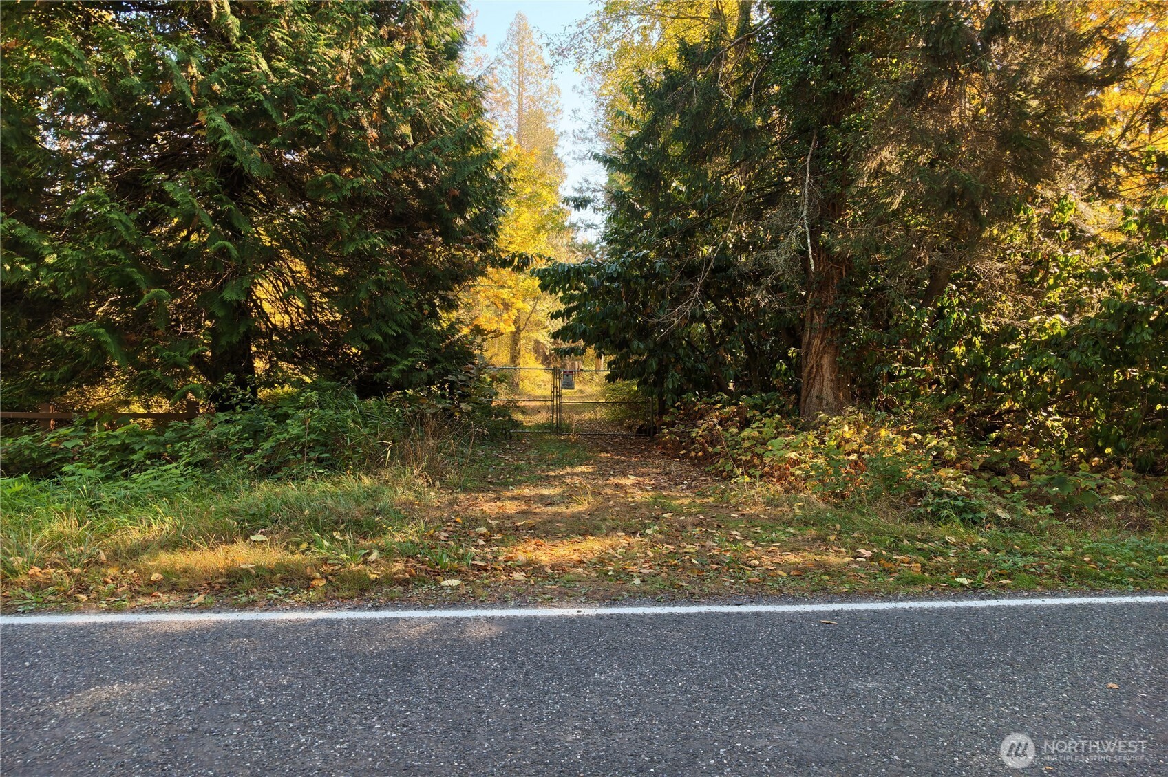 8280 Semiahmoo Drive Property Photo 3
