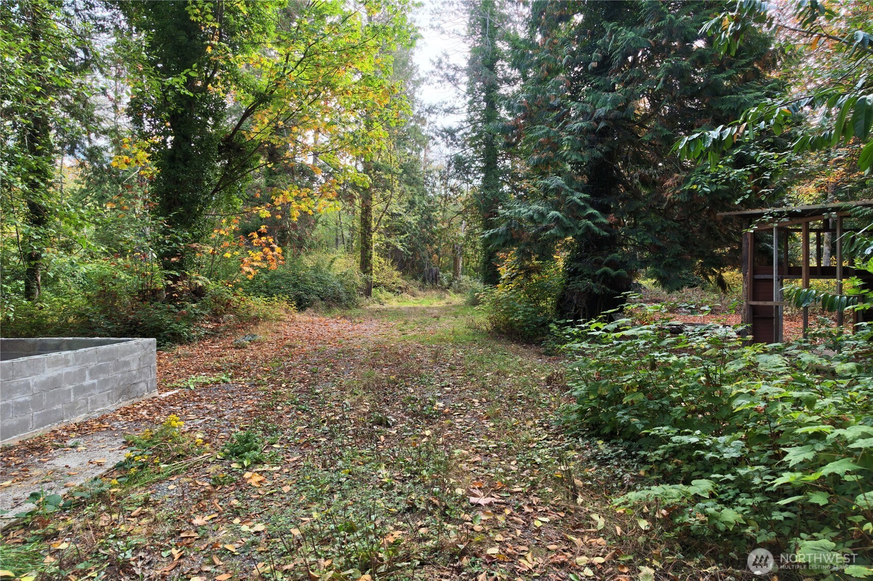8280 Semiahmoo Drive Property Photo 4