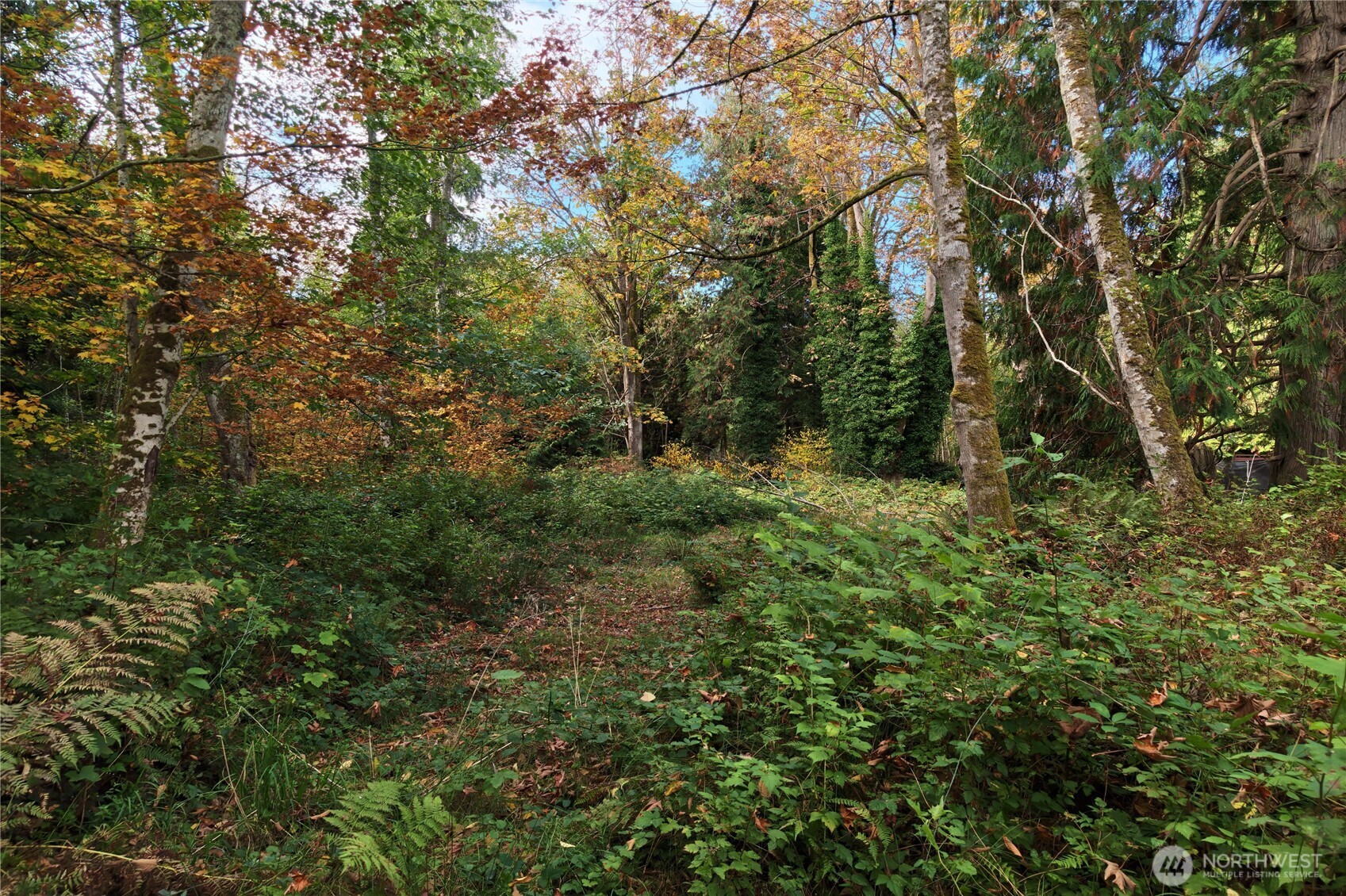 8280 Semiahmoo Drive Property Photo 7