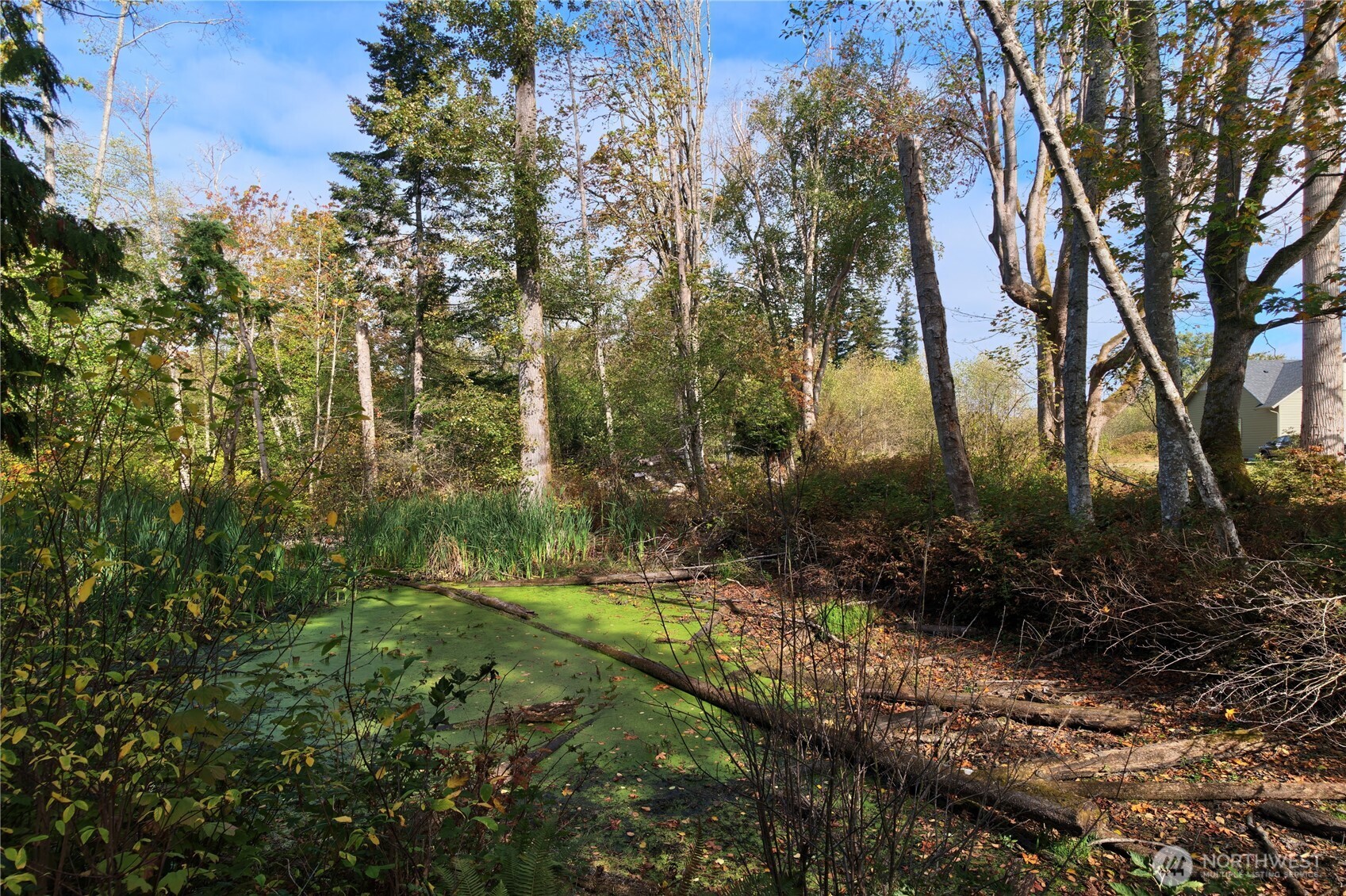 8280 Semiahmoo Drive Property Photo 8