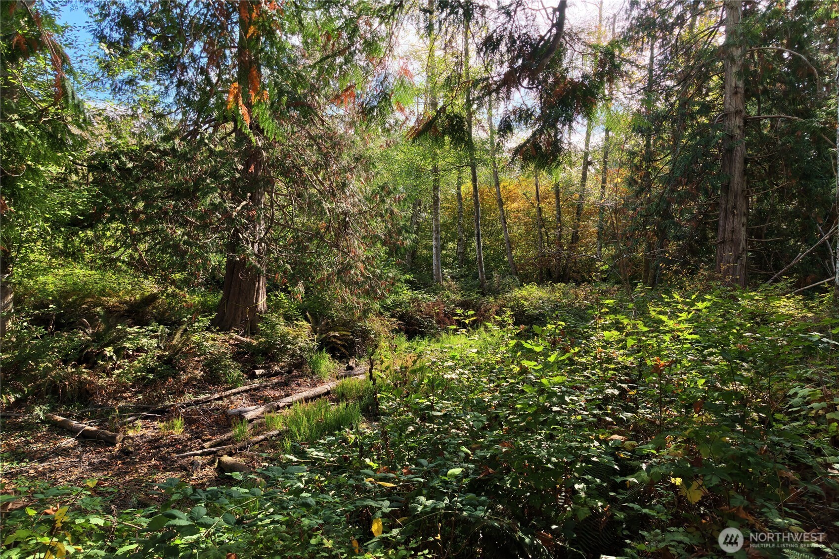 8280 Semiahmoo Drive Property Photo 14