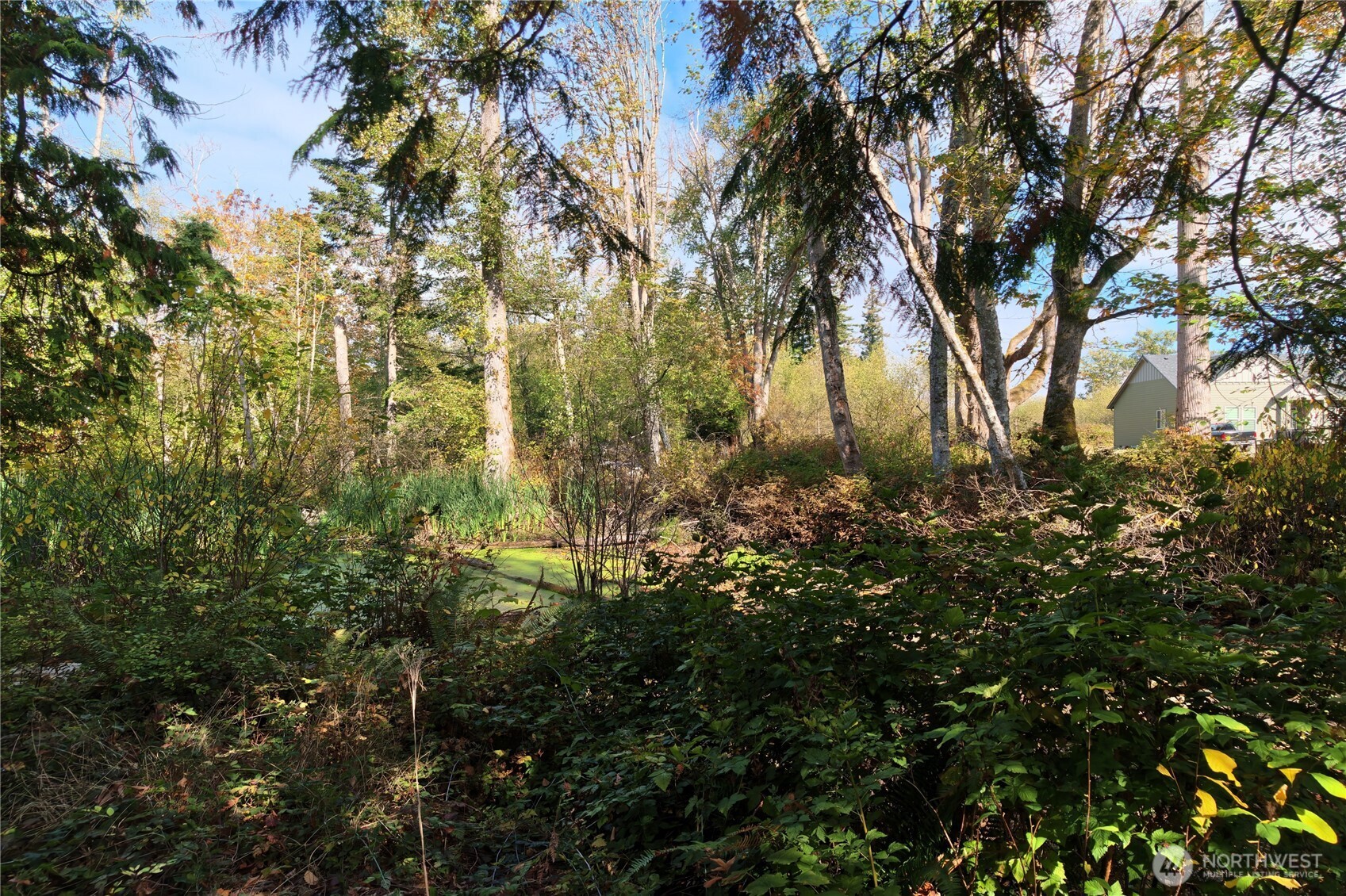 8280 Semiahmoo Drive Property Photo 15