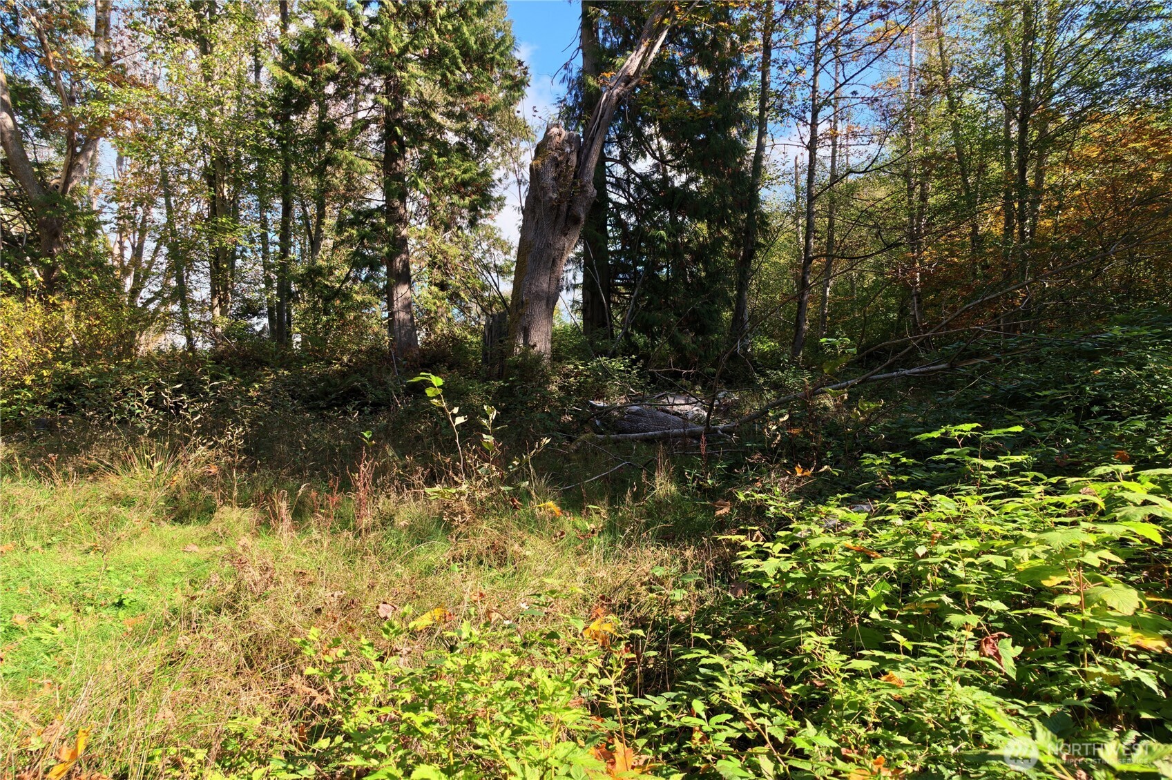 8280 Semiahmoo Drive Property Photo 16