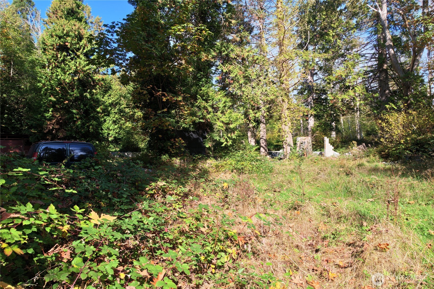 8280 Semiahmoo Drive Property Photo 17
