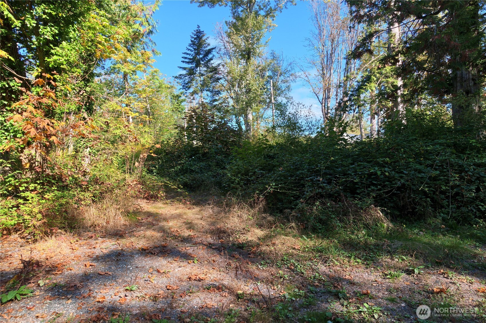 8280 Semiahmoo Drive Property Photo 23