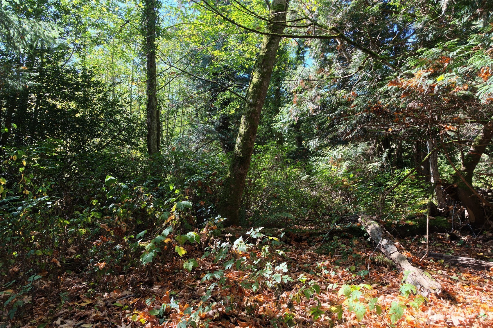 8280 Semiahmoo Drive Property Photo 25