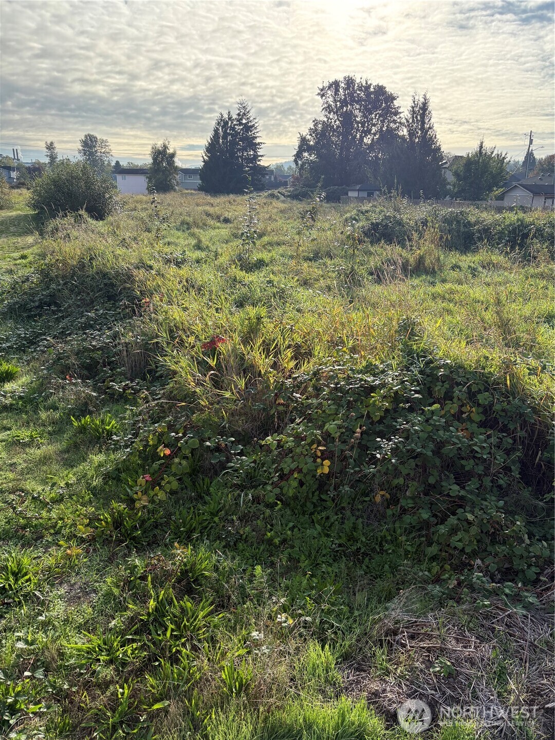 316 3rd Avenue Property Photo 2