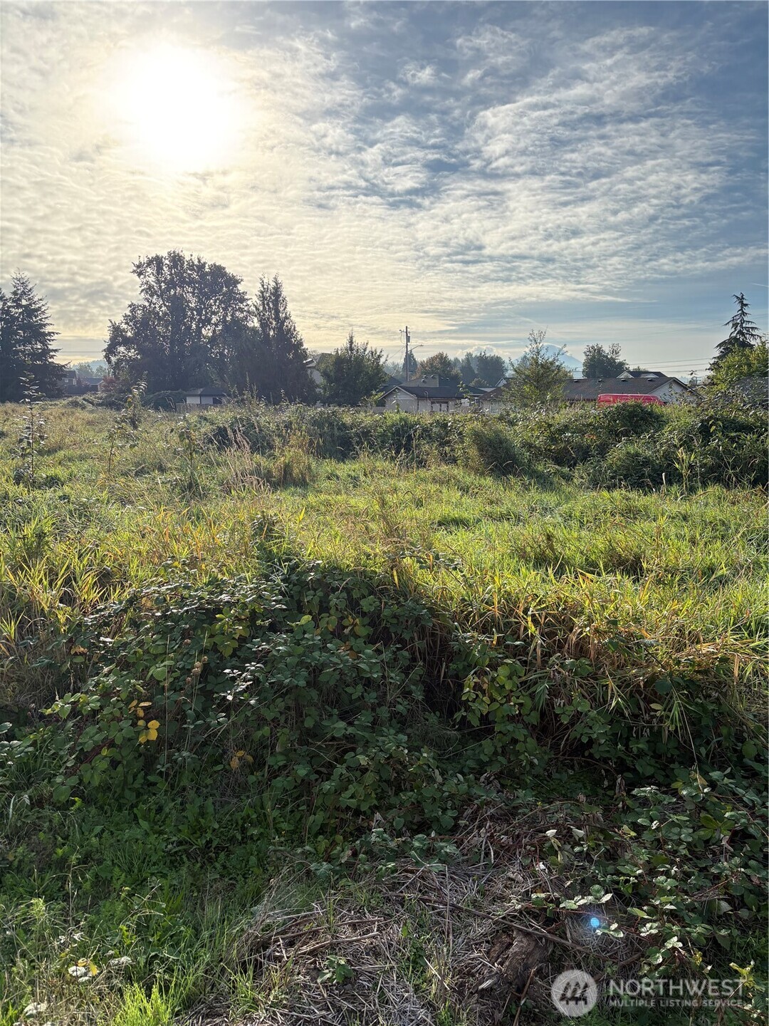 316 3rd Avenue Property Photo 4