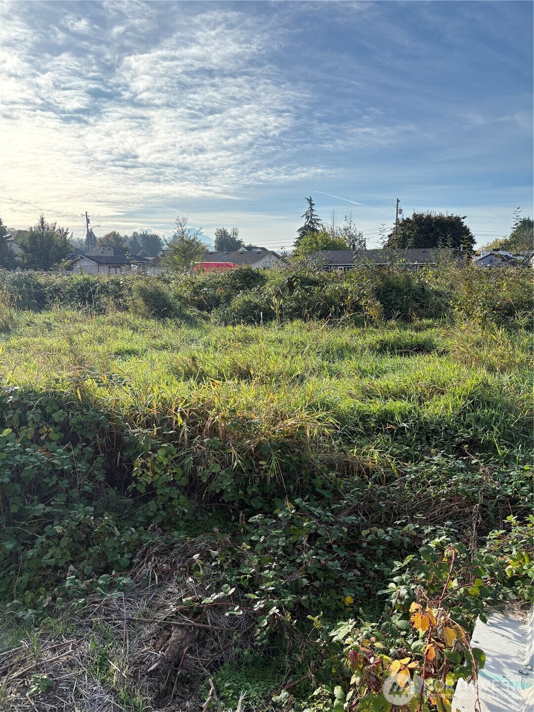 316 3rd Avenue Property Photo 6