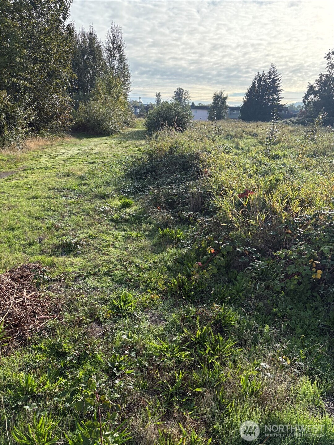 316 3rd Avenue Property Photo 12
