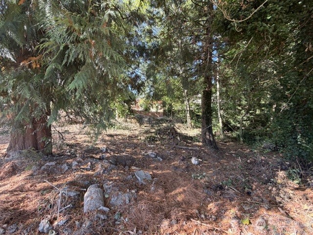 37305 34th Avenue Property Photo 3