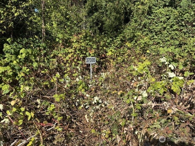 37305 34th Avenue Property Photo 6