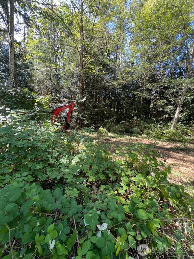0 Mile Hill Drive Property Photo 1