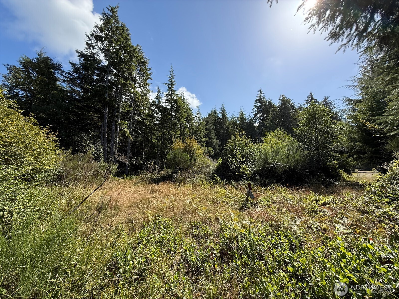 3011 202nd Street Property Photo 1