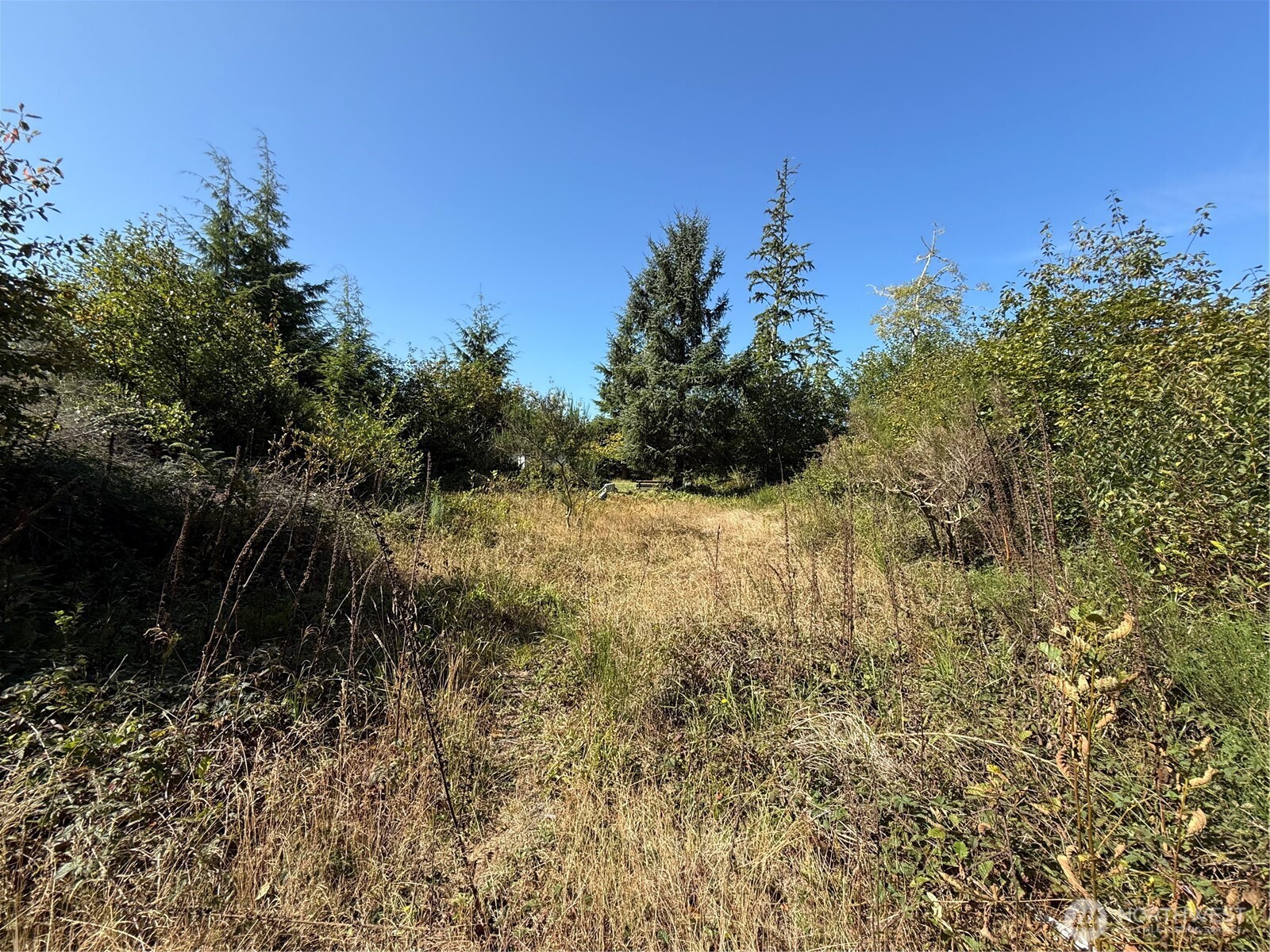 3011 202nd Street Property Photo 8