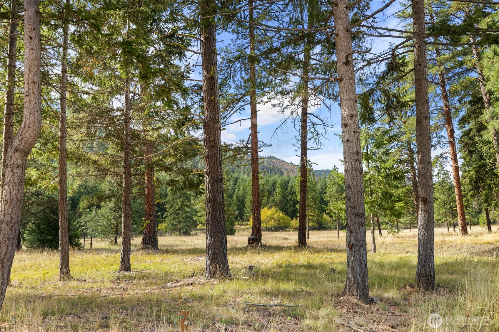 27 Domerie Park Loop Property Photo 4